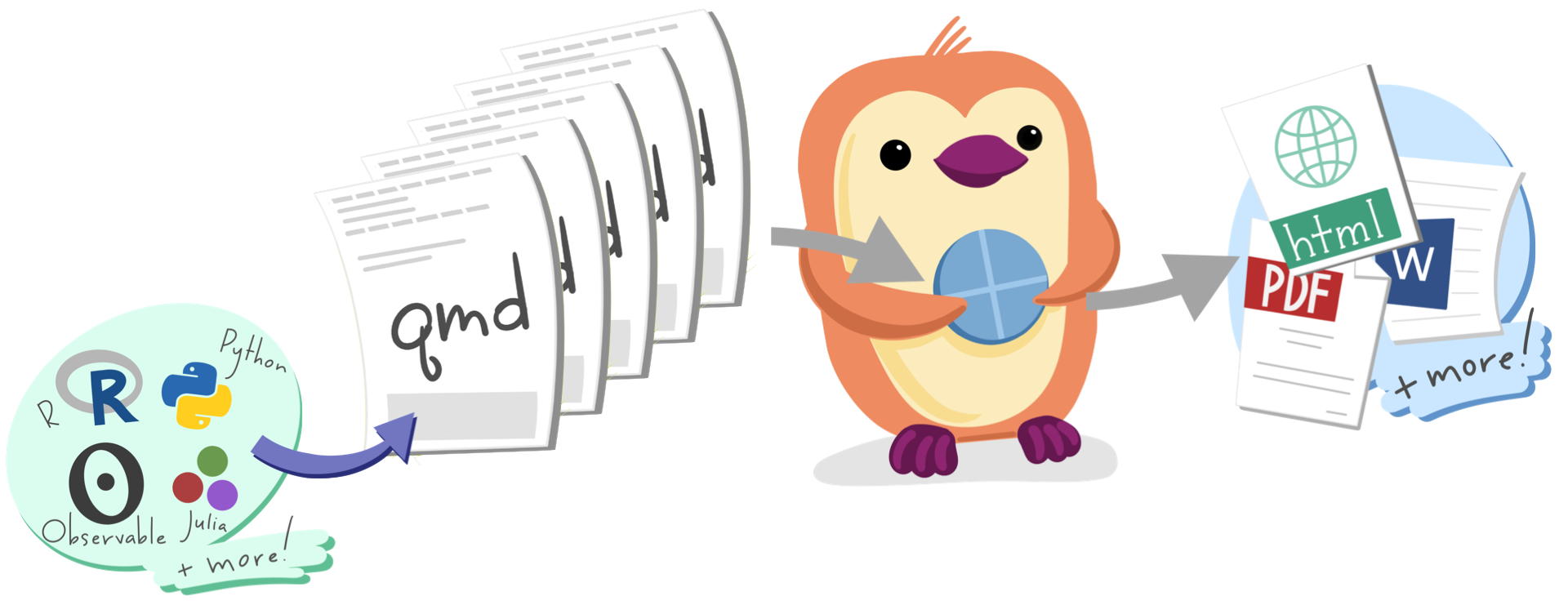 A schematic showing many computing languages (R, Python, Julia, Observable, and more) going into many single qmd files, going through Quarto, to generate an HTML, PDF, or Word document or more. The Quarto logo is depicted as a baseball a penguin is spinning.